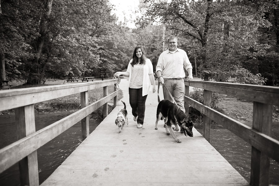 dogs at engagement session