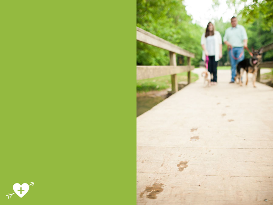 Funny engagement picture with dogs at Spring Mill State Park