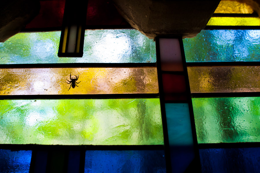 spider on stained glass