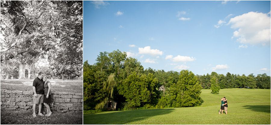 blue skies at locust grove