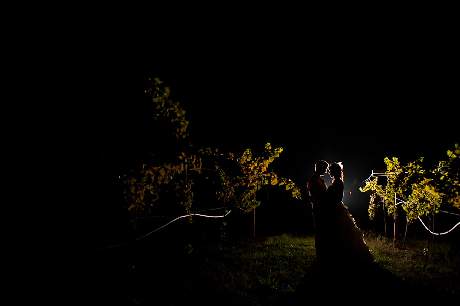 vineyard nighttime wedding portrait