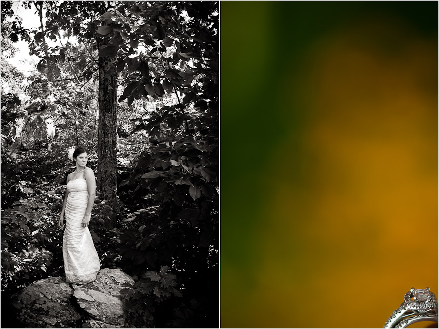 wintergreen bridal portrait