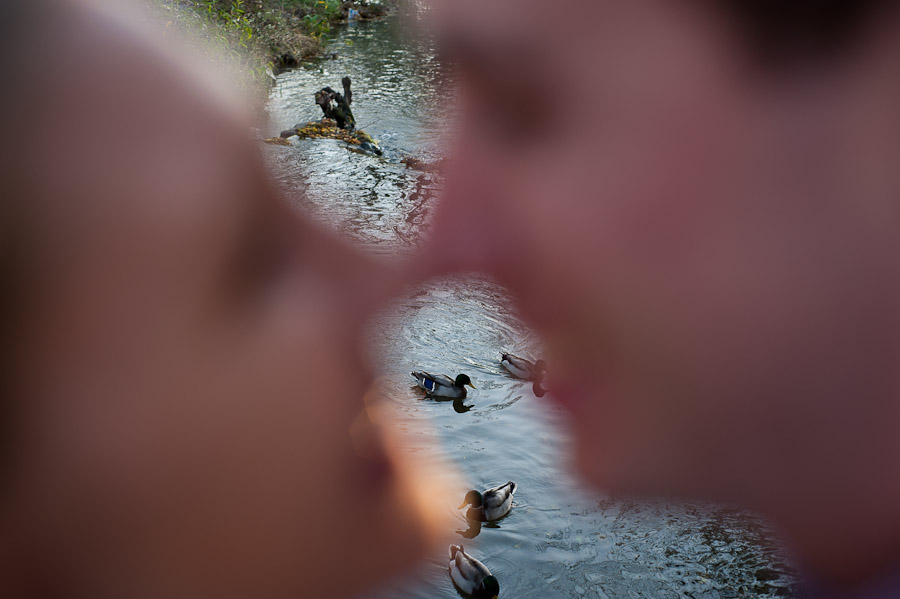 Funny engagement photo with ducks