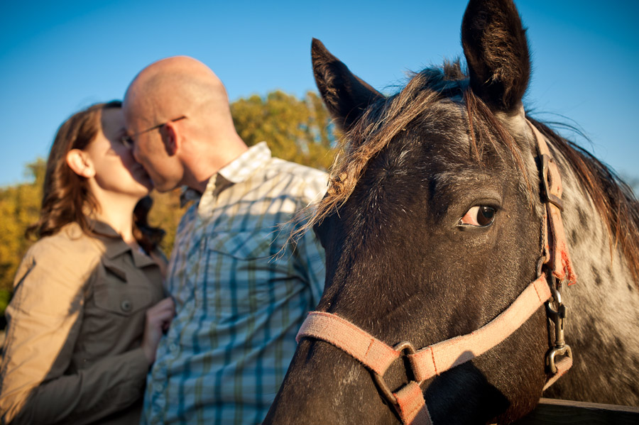 Funny horse interrupts engagement session