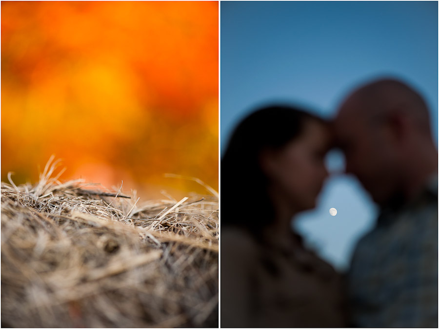 Bold Autumn and Fall Colors for Engagement Shoot