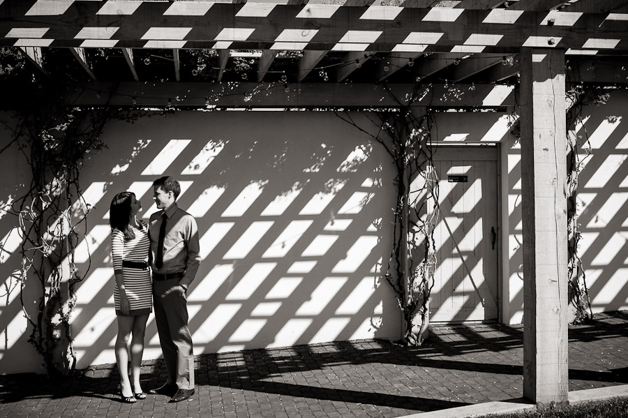 Shadow Pattern Engagement Photo at King Family Vineyard