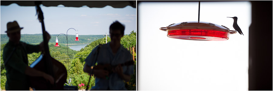 Hummingbirds at wedding