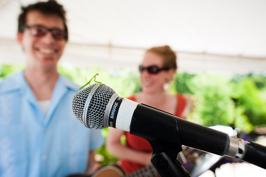 Praying Mantis on Microphone