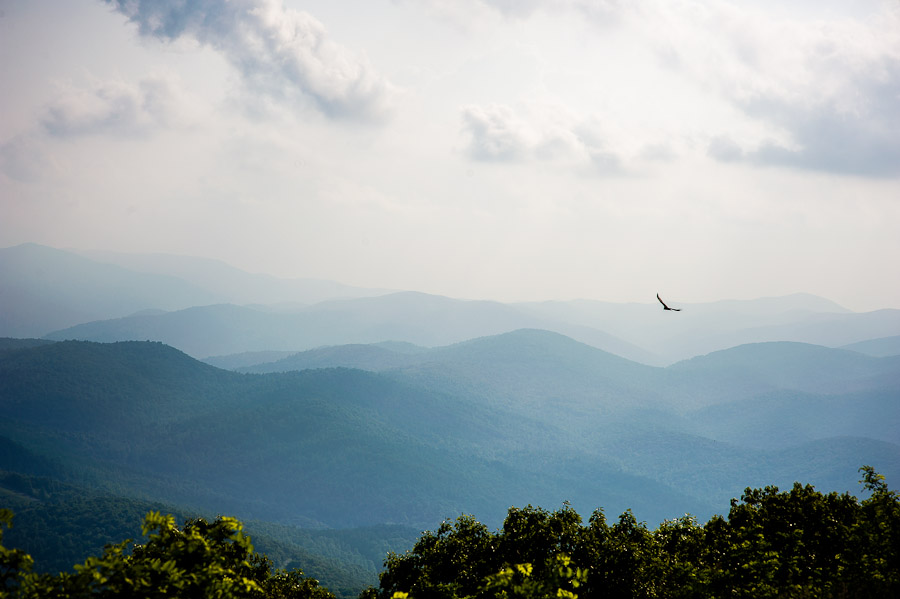 Wintergreen Mountain, Virginia