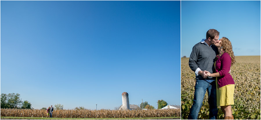 romantic and rustic engagement photos in cornfield, soy field, farm