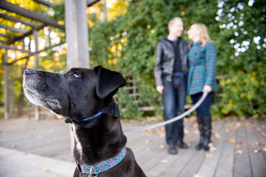 Colorful, quirky engagement photos with dog in Indiana