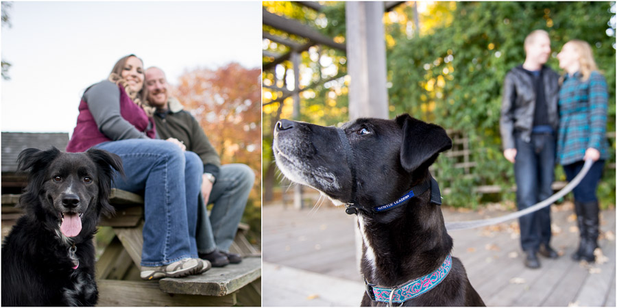 fun dogs at engagement sessions