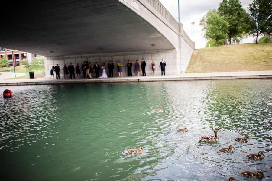 funny ducks and wedding party