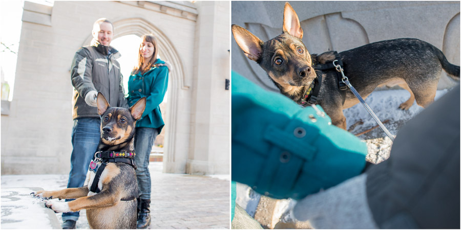 Indiana University Engagement Pics with Pet Dogs!