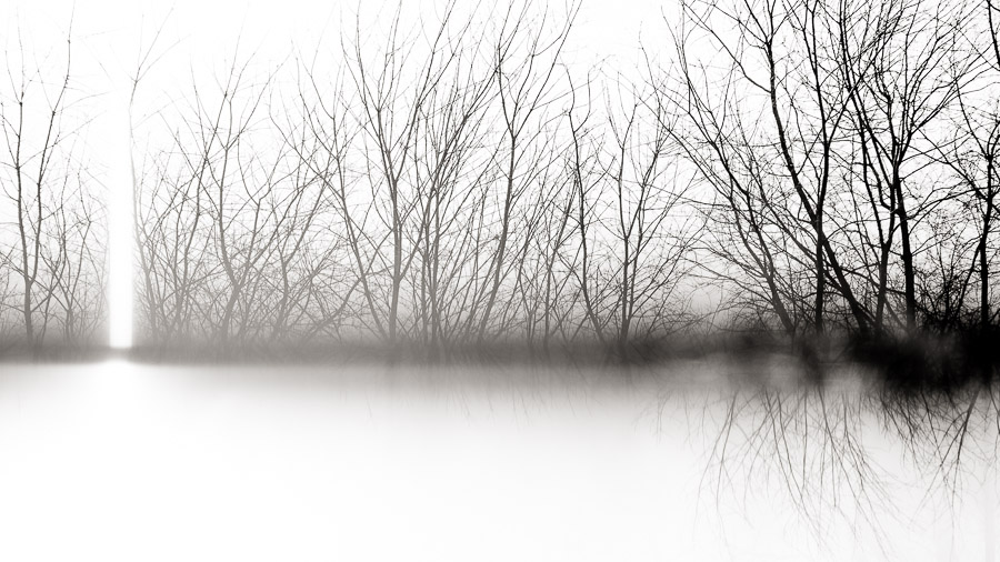 quirky, unusual, arty landscape photo at southern Indiana wedding