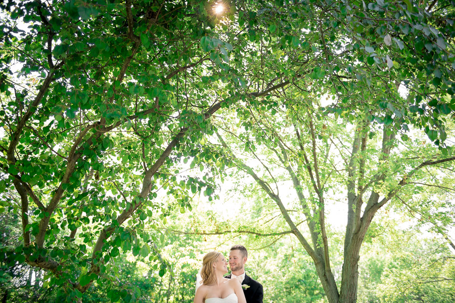 Beautiful Trees for Wedding Portrait