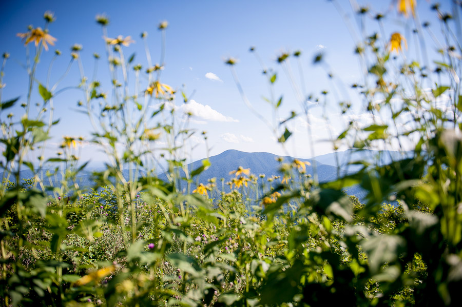 beautiful mountain scenery at wintergreen overlook wedding