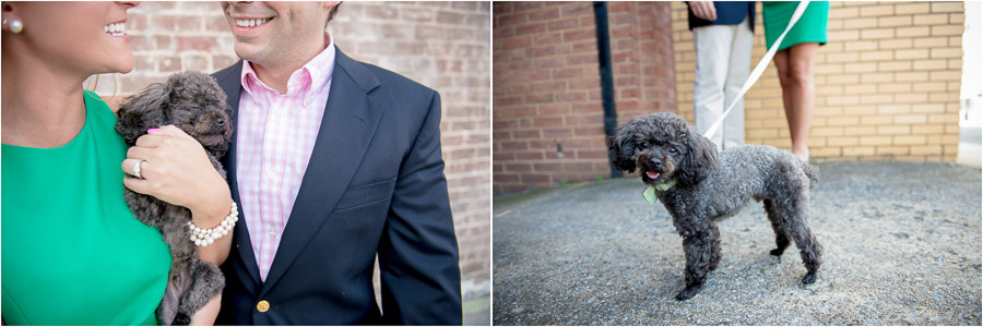 fun, creative, unique engagement photos with miniature poodle dog in Virginia