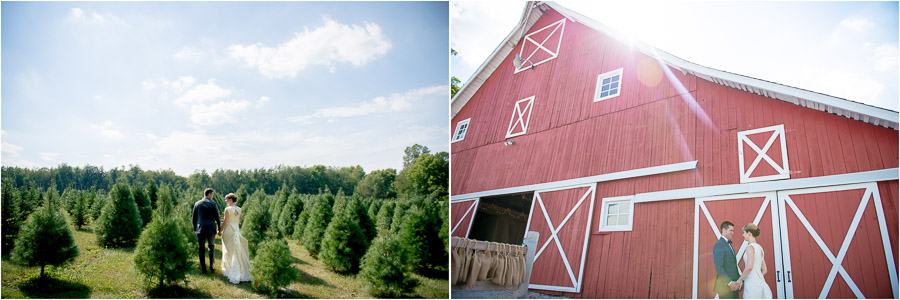 fun, dramatic, landscape, wedding portraits with barn and tree farm