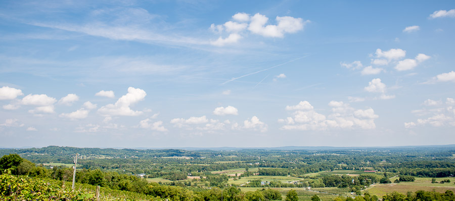 beautiful, scenic, photo at Bluemont Vineyard wedding