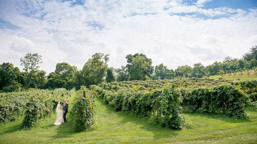 romantic and dramatic first look at Bluemont Vineyard wedding in Virginia