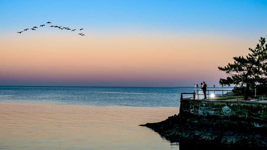 Dramatic sunset wedding portrait with geese, outside NYC by TALL + small Photography!