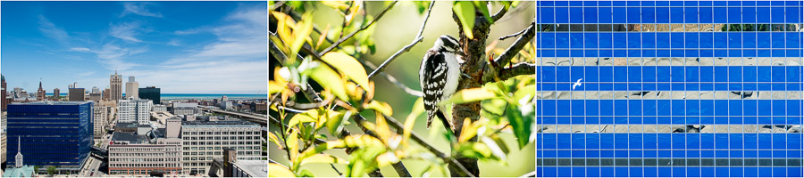 Schlitz-Audubon-Nature-Center-Wedding-Photography-Carie-Taylor-1