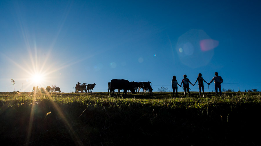 Bloomington-Harrisonburg-Wedding-Photographers-Best-Of-2015-50