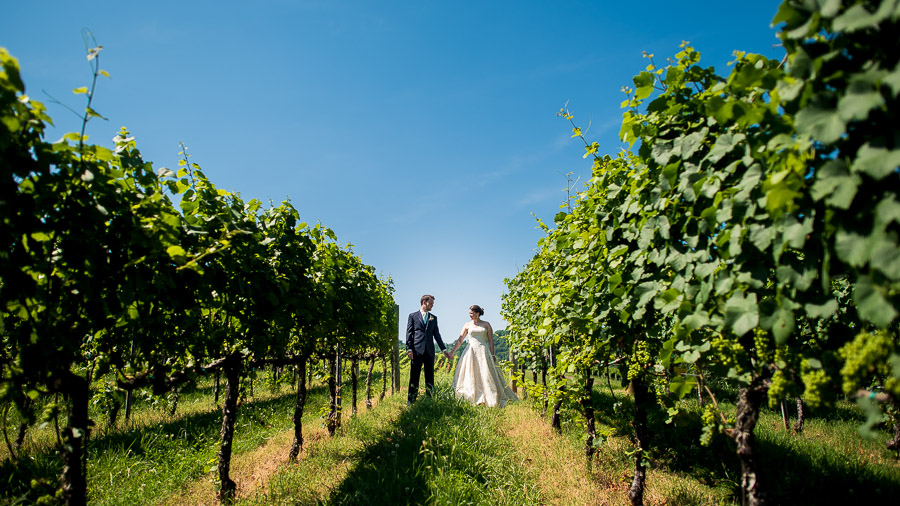 Charlottesville-Winery-Wedding-Heather-Charlie-2