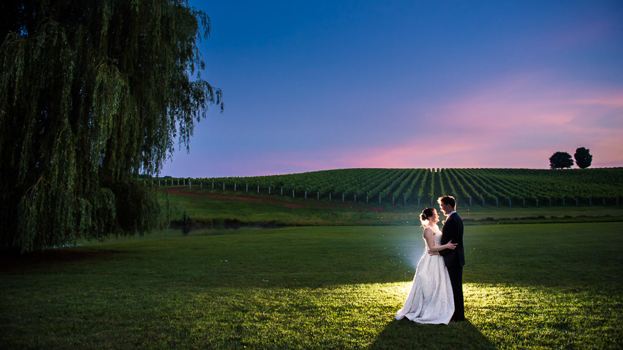 Virginia Winery Wedding Charlottesville