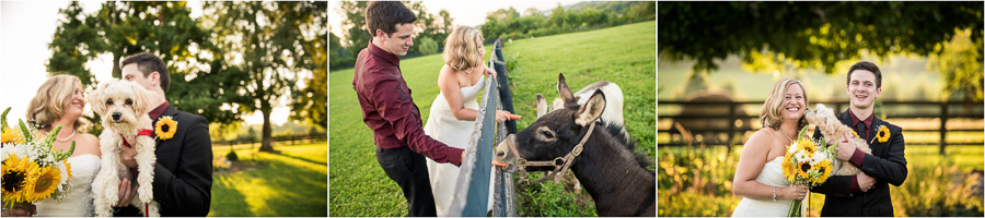 Sycamore Farm Wedding