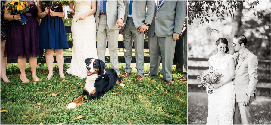 Cute Dog in Bridal Party Bloomington IN