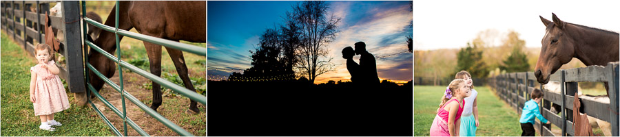 sycamore farms wedding portraits