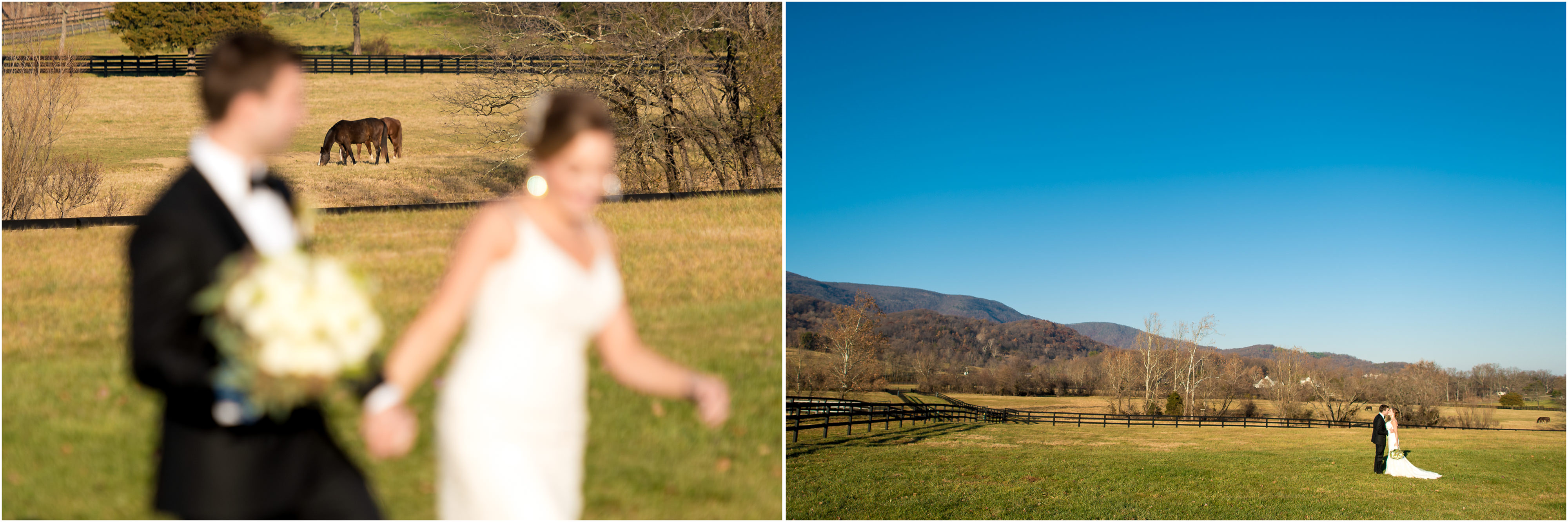 King Family Crozet Wedding Pics