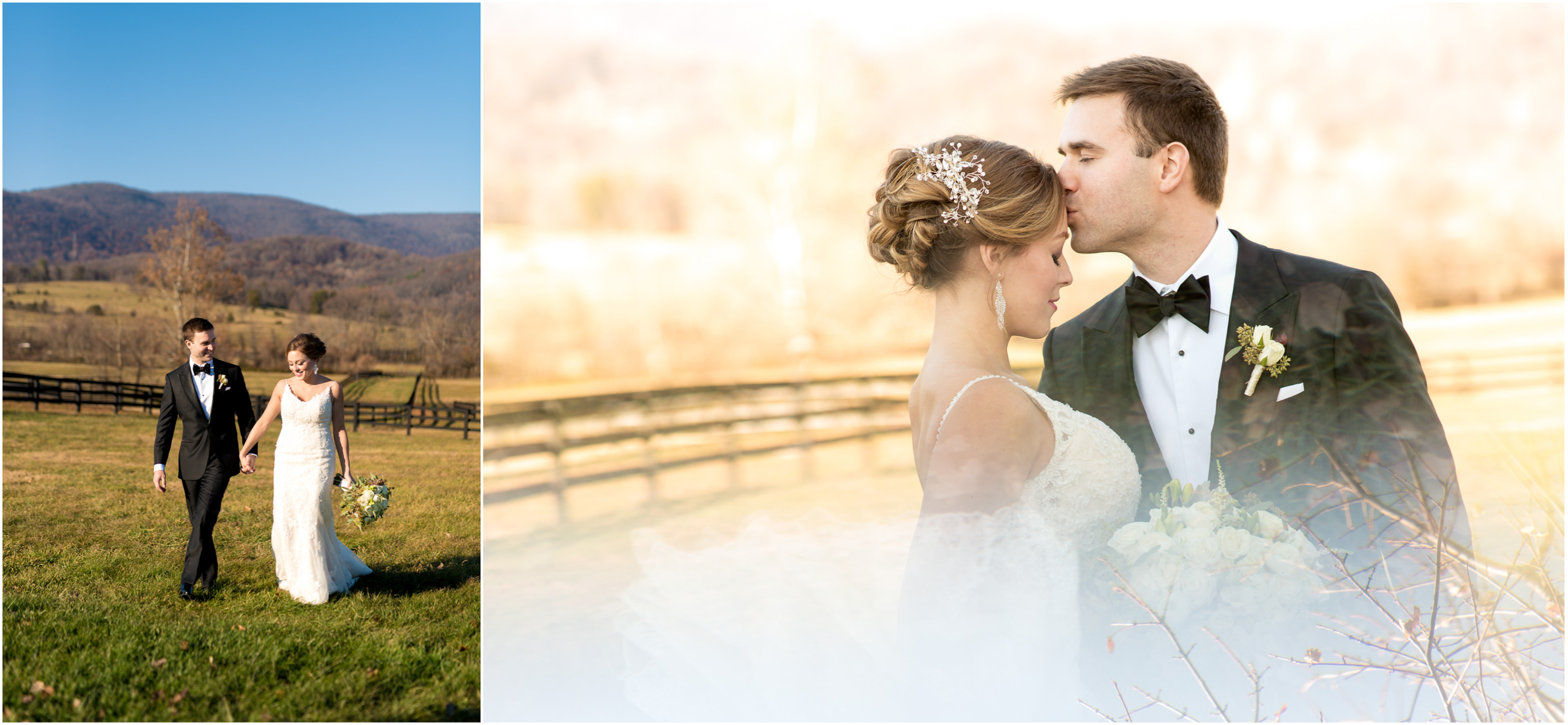 Charlottesville Wedding Portraits