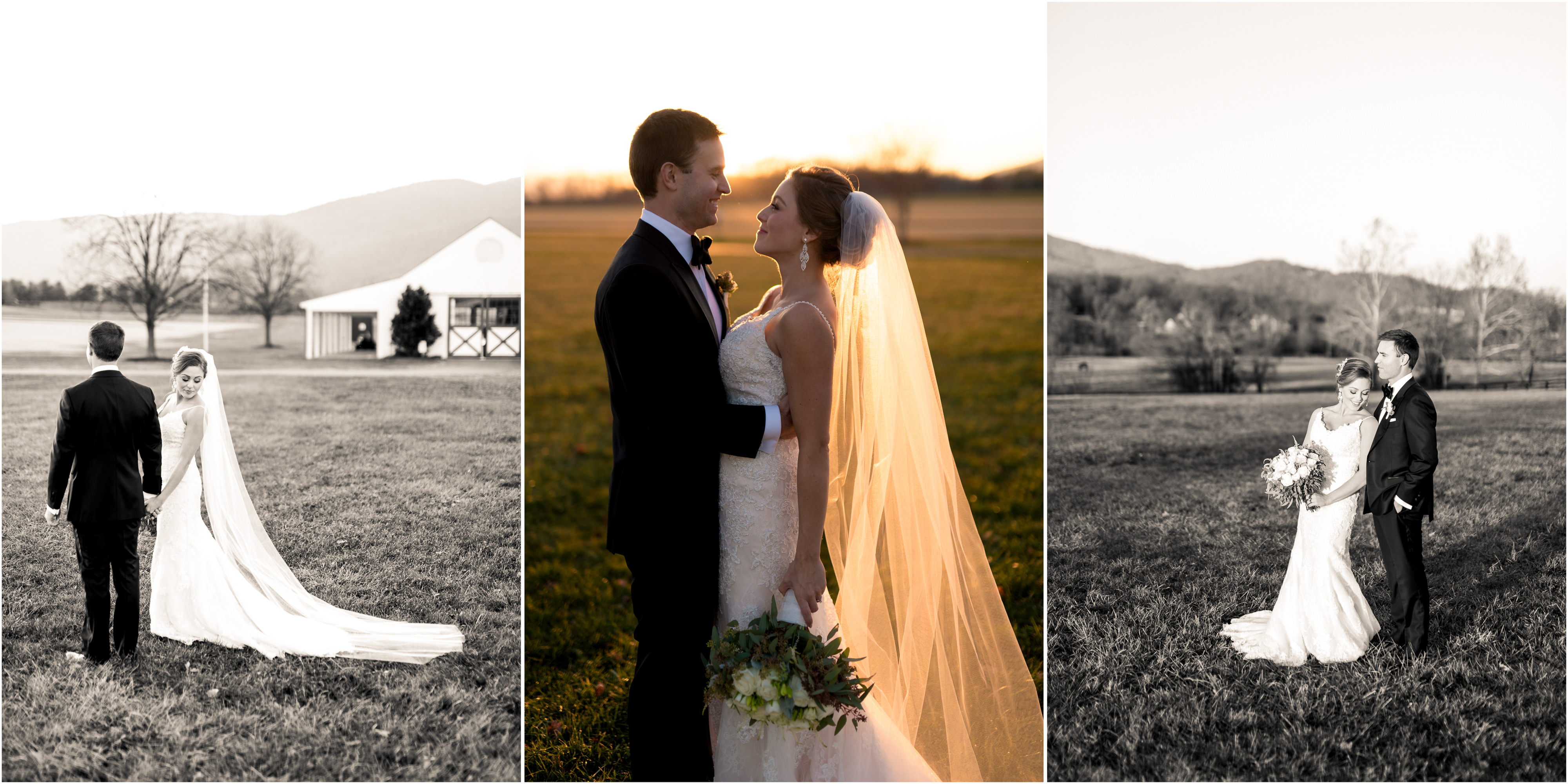 Crozet Wedding Photos