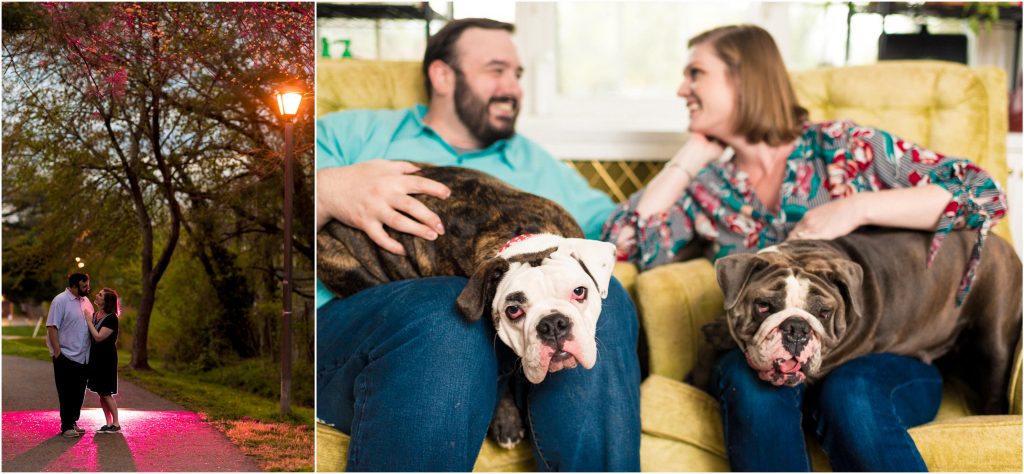 Cute bulldogs at S+T's engagement shoot.