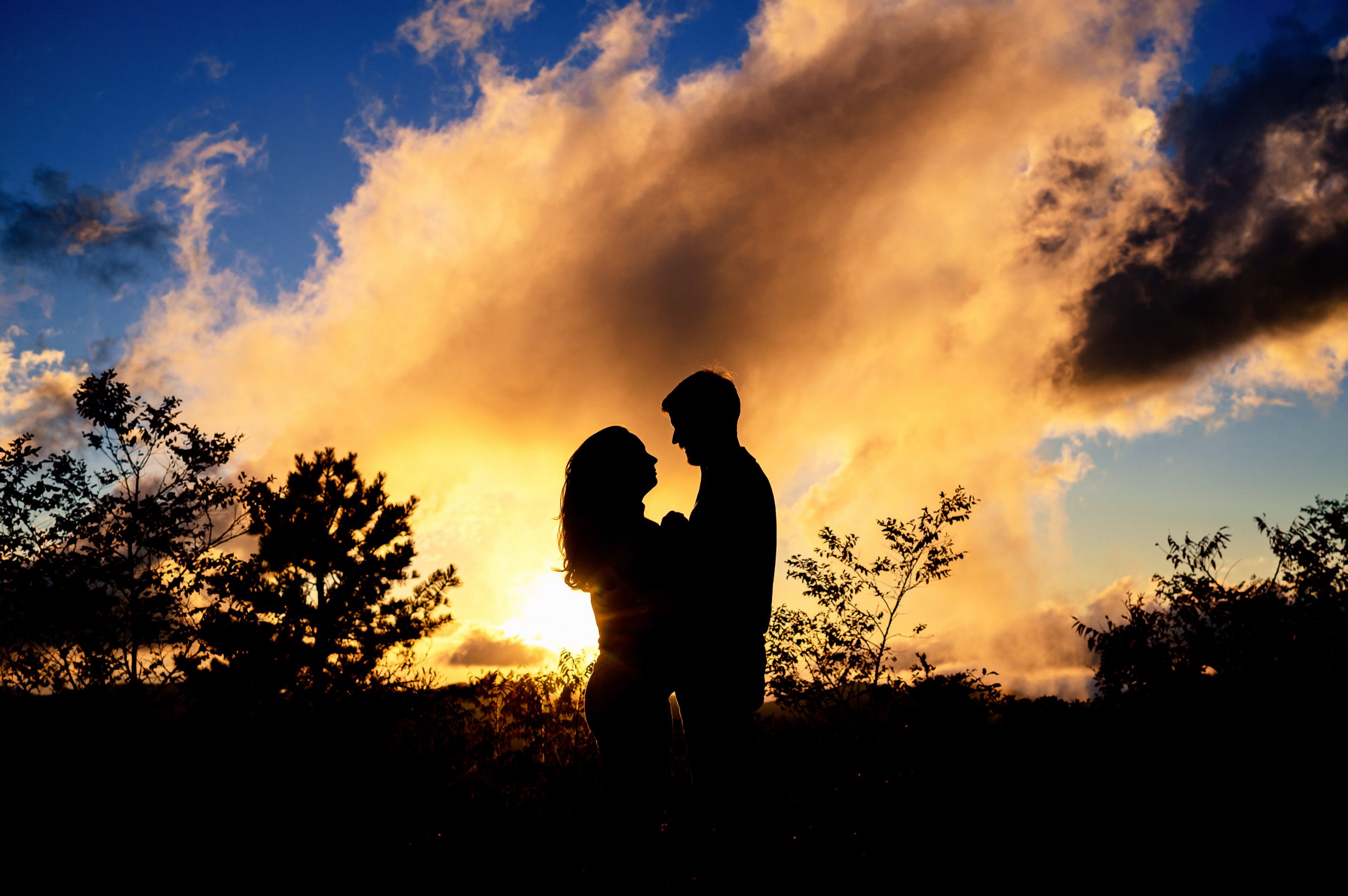 L + W | Engagement | Skyline Drive, VA