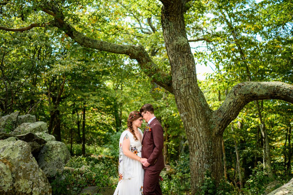 Skyland wedding photography photo under a tree